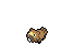 Bidoof