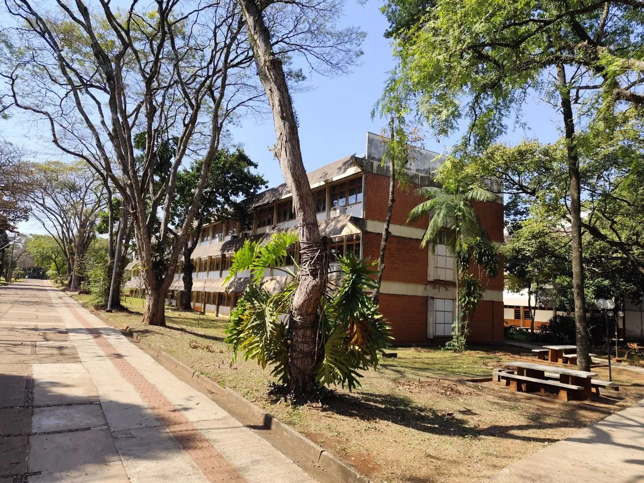 calçadão of UEL